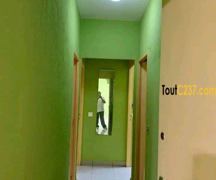 Tres belle villa sic à vendre à Kotto, Douala