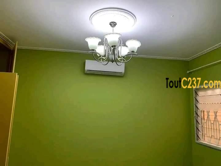 Tres belle villa sic à vendre à Kotto, Douala