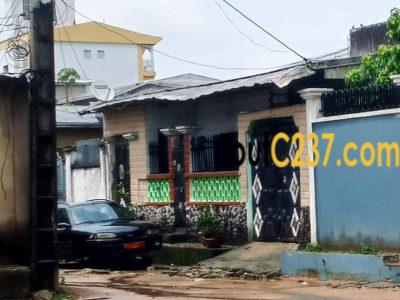 Terrain bati à vendre à Bonamoussadi, Douala