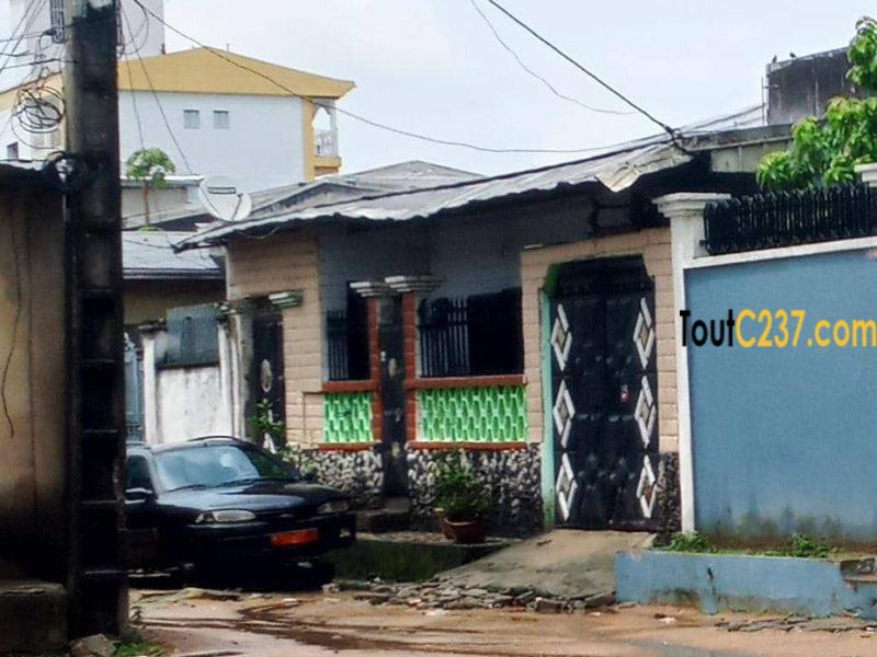 Terrain bati à vendre à Bonamoussadi, Douala