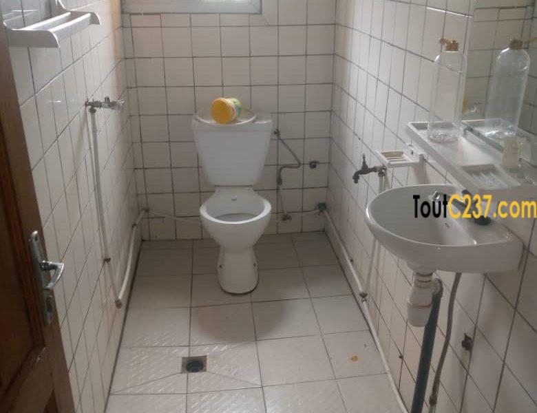 Studio moderne à louer à Akwa Nord