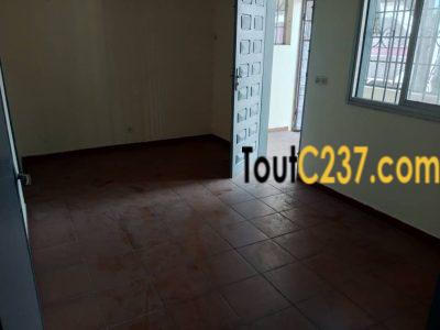 Studio Moderne à louer à Bonanjo, Douala