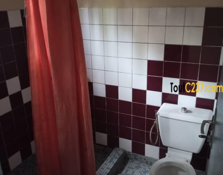 Studio Moderne à louer à Bonanjo, Douala