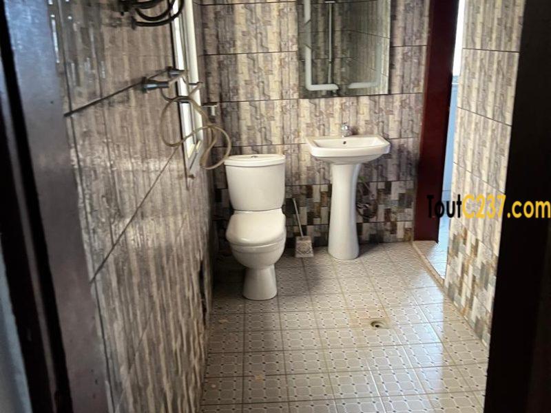 Appartement à louer à Bonamoussadi Douala