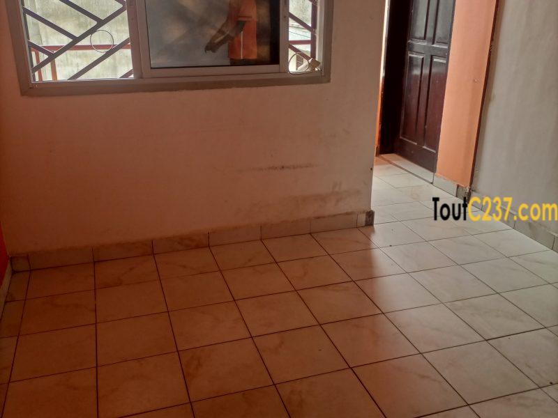 Bureau à louer à Bonamoussadi, Douala
