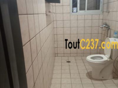 Bureau à louer à Bonamoussadi, Douala