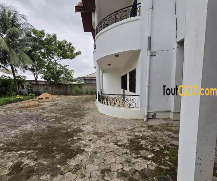 Très vaste duplex à louer à Logpom, Bassong