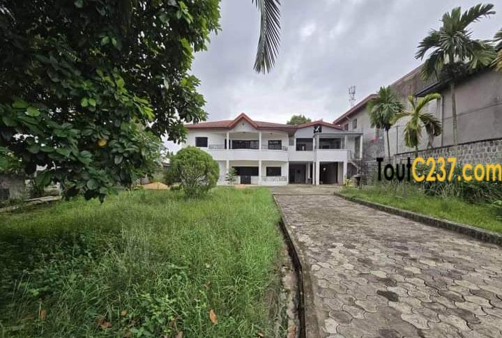 Très vaste duplex à louer à Logpom, Bassong