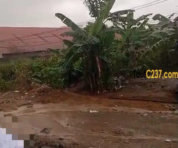 Terrain a vendre à Logbessou (Derriere antenne crtv cote njoya)