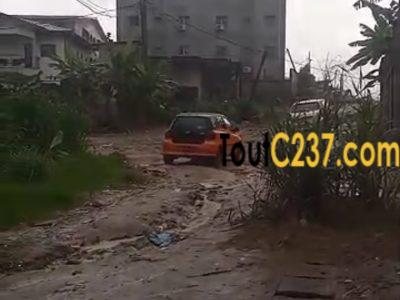 Terrain a vendre à Logbessou (Derriere antenne crtv cote njoya)