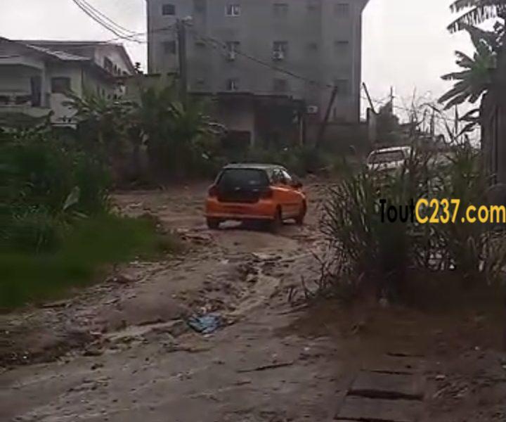 Terrain a vendre à Logbessou (Derriere antenne crtv cote njoya)