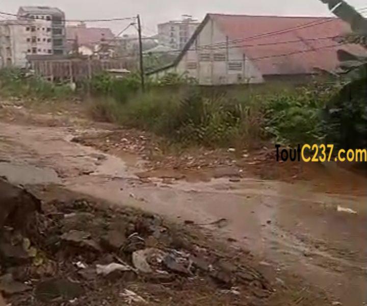 Terrain a vendre à Logbessou (Derriere antenne crtv cote njoya)