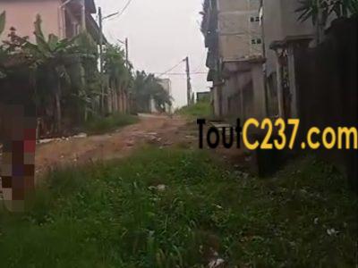 Terrain à vendre a Logbessou (En face crtv)