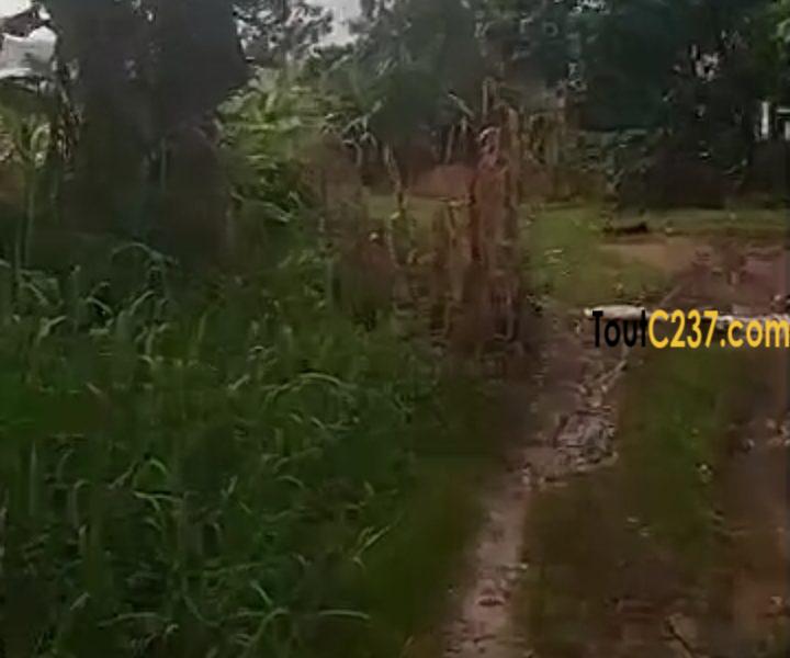 Terrain à vendre a Logbessou (En face crtv)