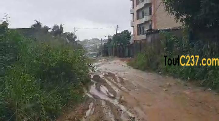 Specual Terrain d'angle à vendre à Logpom Douala