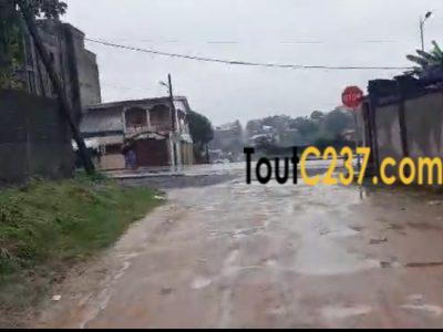 Specual Terrain d'angle à vendre à Logpom Douala