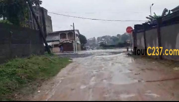 Specual Terrain d'angle à vendre à Logpom Douala