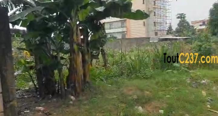 Terrain de 133m2 à vendre à Logpom, (25m du goudron)