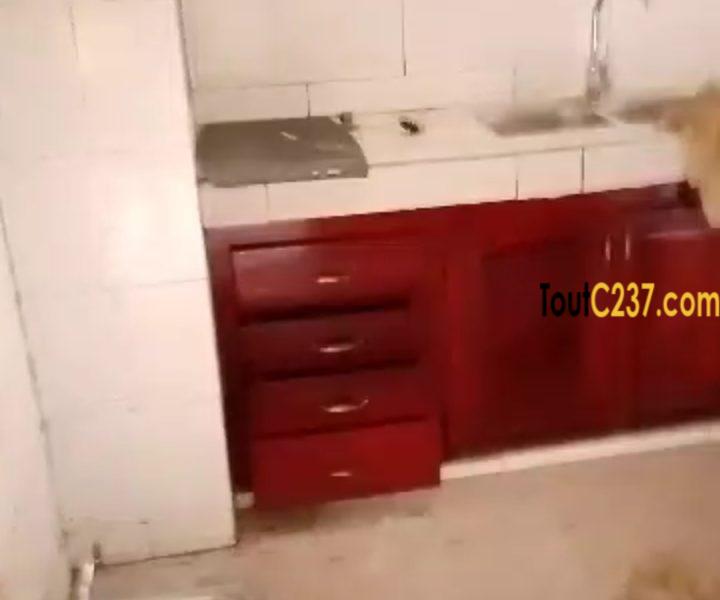 Appartement a louer a Bonamoussadi Douala
