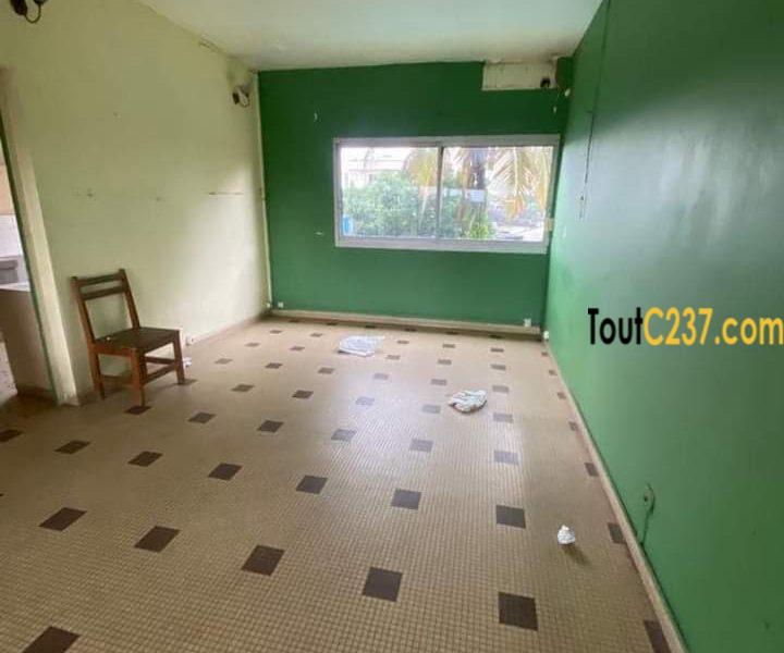 Vaste appartement à louer à Bonapriso Douala