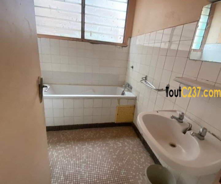 Vaste appartement à louer à Bonapriso Douala