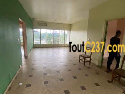 Vaste appartement à louer à Bonapriso Douala