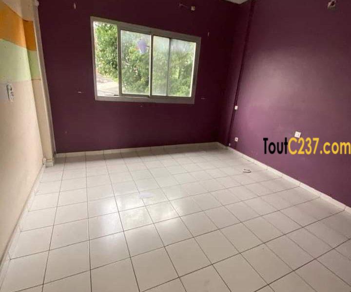 Vaste appartement à louer à Bonapriso Douala