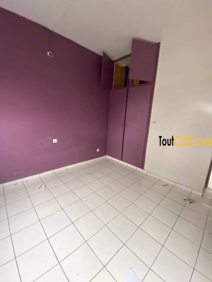 Vaste appartement à louer à Bonapriso Douala