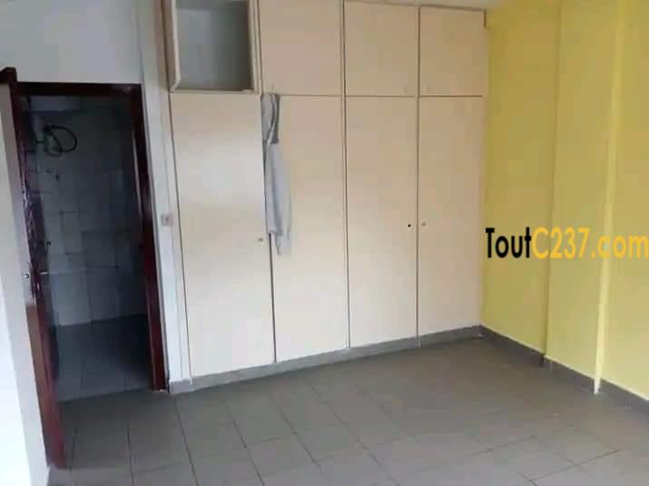 Studio moderne à louer à Bonapriso Douala