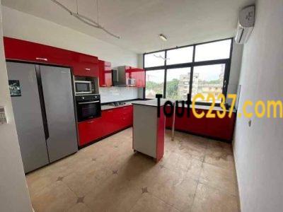 Vaste appartement haut standing à louer à Bonapriso