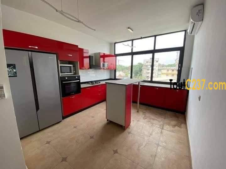 Vaste appartement haut standing à louer à Bonapriso