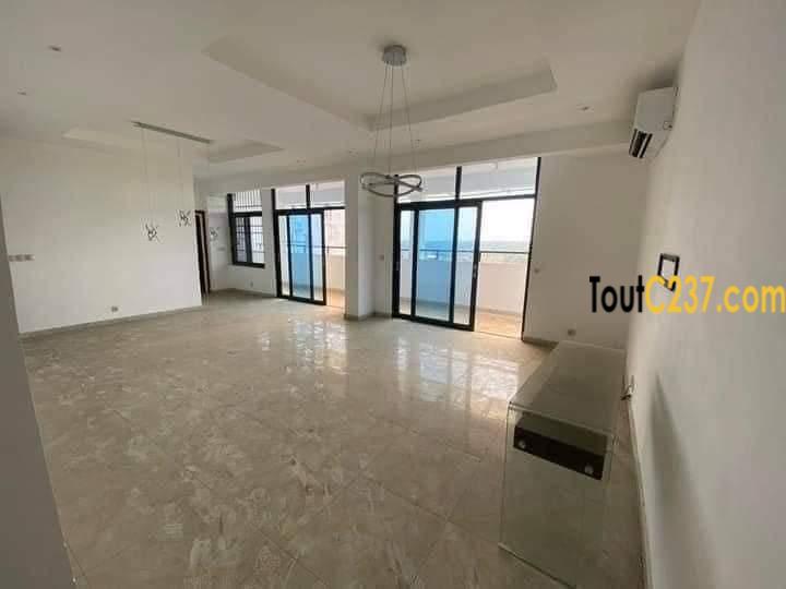 Vaste appartement haut standing à louer à Bonapriso