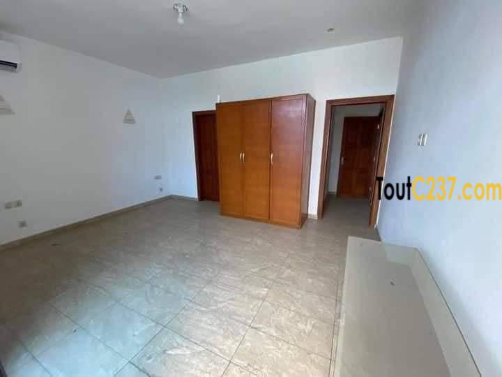 Vaste appartement haut standing à louer à Bonapriso