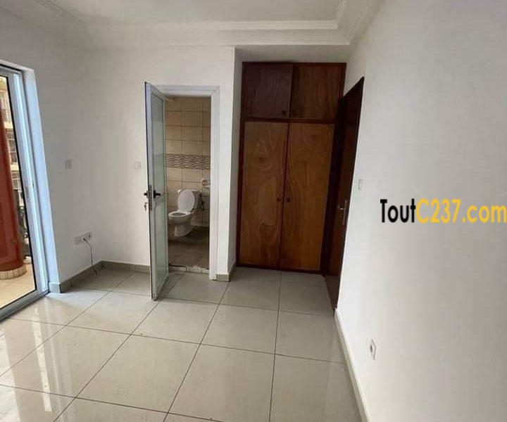 Appartement à louer à Bonapriso Douala