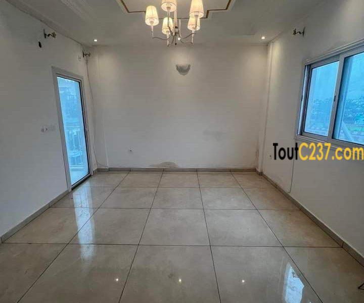 Studio haut standing à louer à Bonapriso