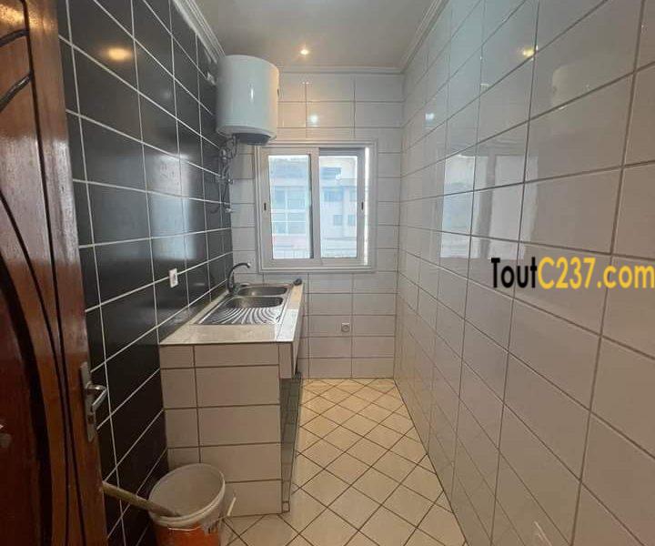 Studio haut standing à louer à Bonapriso