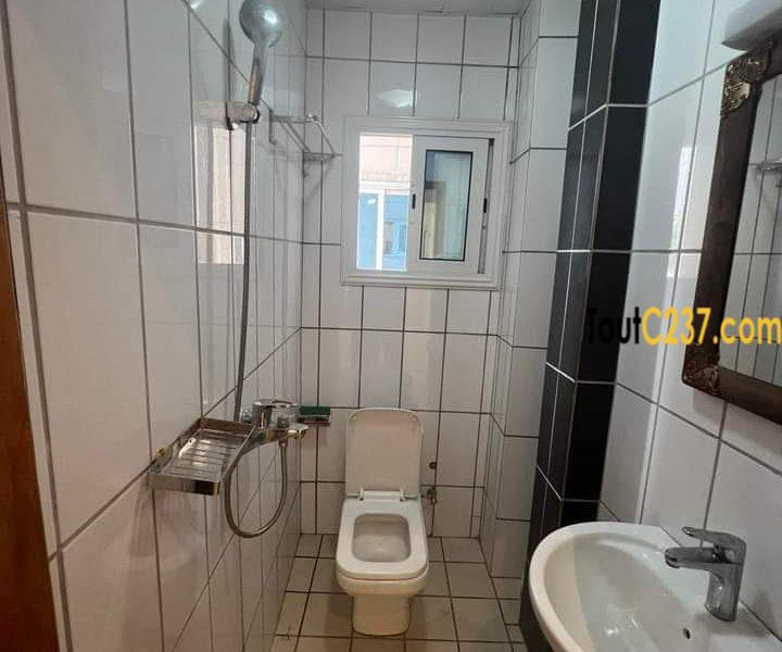 Studio haut standing à louer à Bonapriso