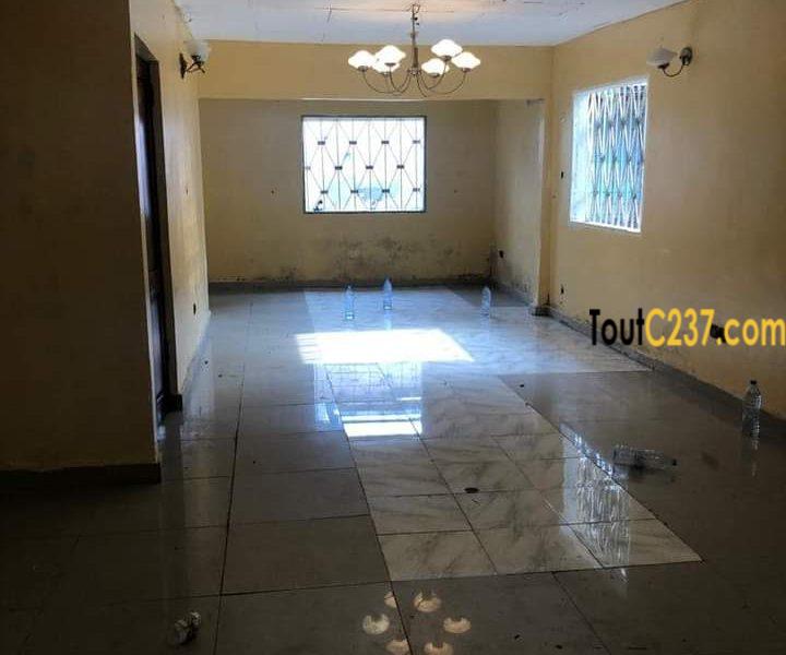Maison à louer à Bonapriso, Douala