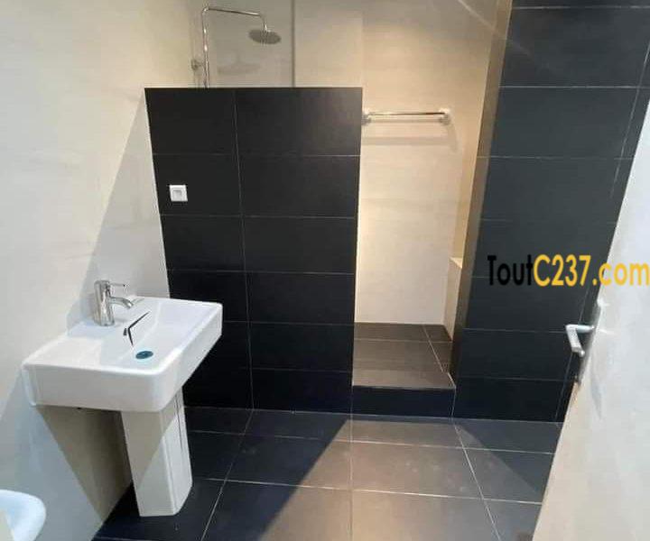 Appartement de 3 chambres à louer à Bonapriso Douala