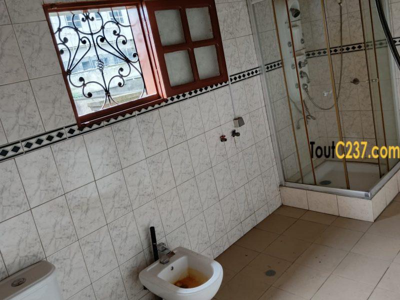 Vaste duplex à louer à Kotto Douala