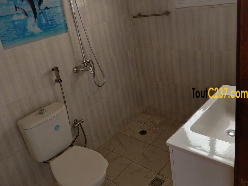 Appartement haut standing à louer à Bonamoussadi