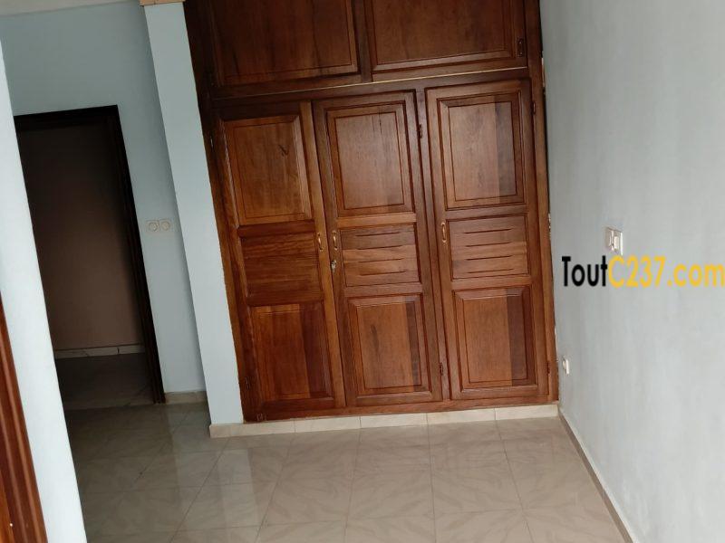 Appartement haut standing à louer à Bonamoussadi