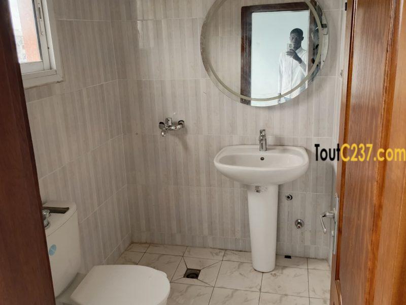 Appartement haut standing à louer à Bonamoussadi