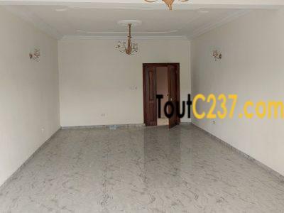 Appartement haut standing à louer à Bonamoussadi