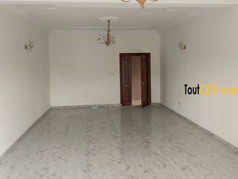 Appartement haut standing à louer à Bonamoussadi