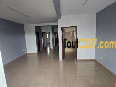 Appartements neufs à louer à Kotto, Bonamoussadi