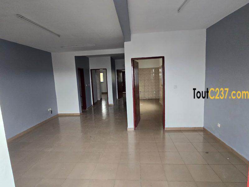 Appartements neufs à louer à Kotto, Bonamoussadi