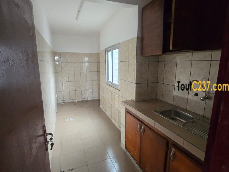 Appartements neufs à louer à Kotto, Bonamoussadi