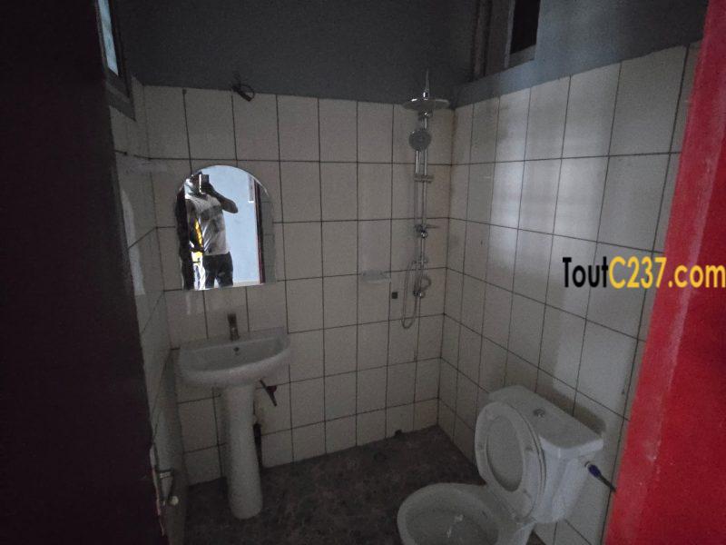 Appartements neufs à louer à Kotto, Bonamoussadi