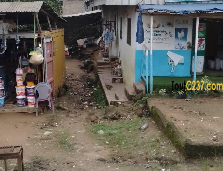 Terrain commercial à vendre à Pk11, Douala